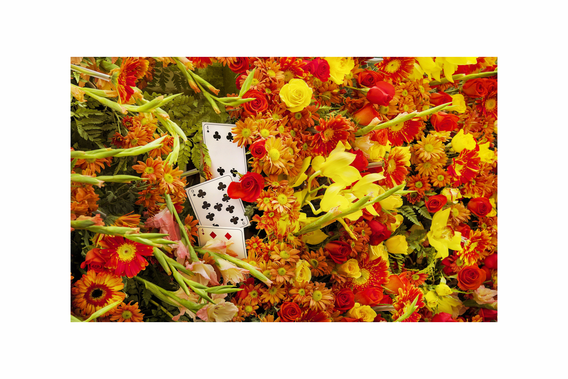 Flores y Cartas